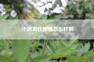 小飒游戏体验怎么样啊