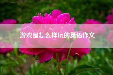 游戏是怎么样玩的英语作文