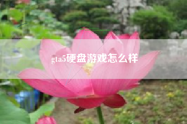 gta5硬盘游戏怎么样