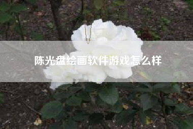 陈光盘绘画软件游戏怎么样