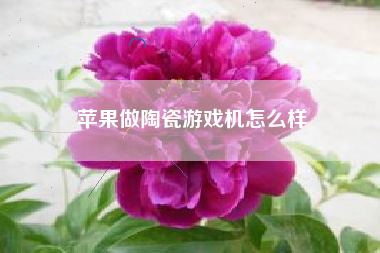 苹果做陶瓷游戏机怎么样