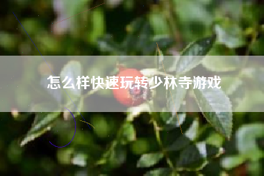 怎么样快速玩转少林寺游戏