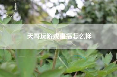 天哥玩游戏直播怎么样