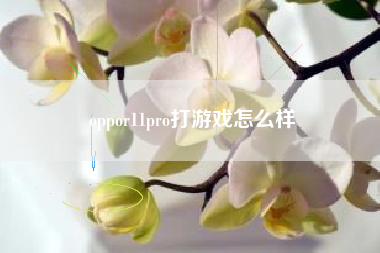 oppor11pro打游戏怎么样