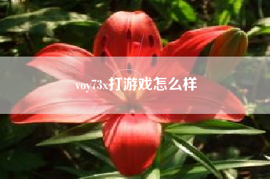 voy73x打游戏怎么样