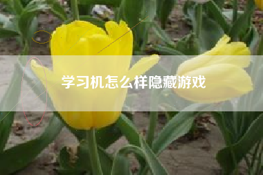 学习机怎么样隐藏游戏