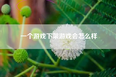 一个游戏下架游戏会怎么样