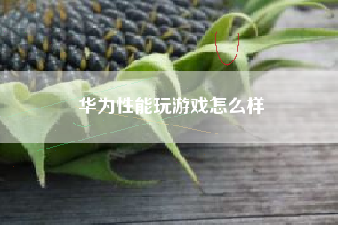 华为性能玩游戏怎么样