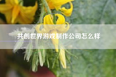 共创世界游戏制作公司怎么样