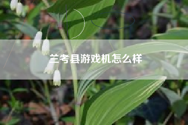 兰考县游戏机怎么样