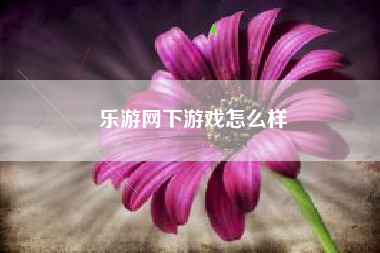 乐游网下游戏怎么样