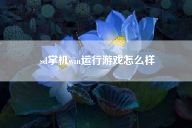 sd掌机win运行游戏怎么样