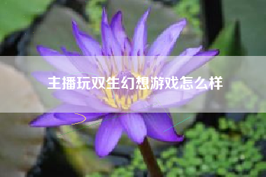 主播玩双生幻想游戏怎么样