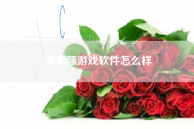 常青藤游戏软件怎么样