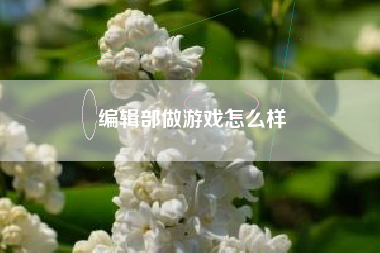 编辑部做游戏怎么样