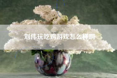 刘伟玩吃鸡游戏怎么样啊