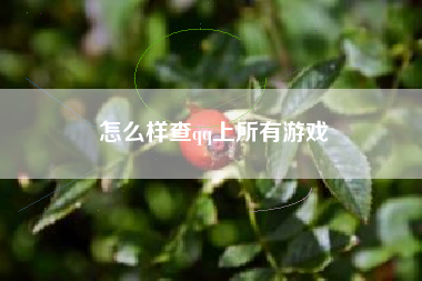 怎么样查qq上所有游戏