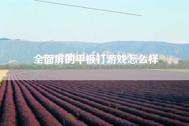 全面屏的平板打游戏怎么样