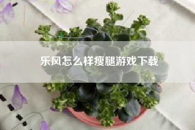 乐风怎么样瘦腿游戏下载