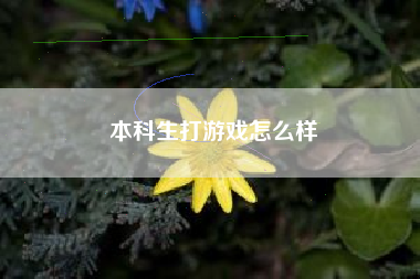 本科生打游戏怎么样