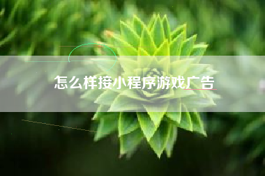 怎么样接小程序游戏广告