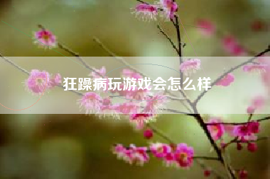 狂躁病玩游戏会怎么样