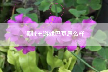 海贼王游戏巴基怎么样