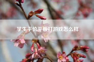 学生平价平板打游戏怎么样