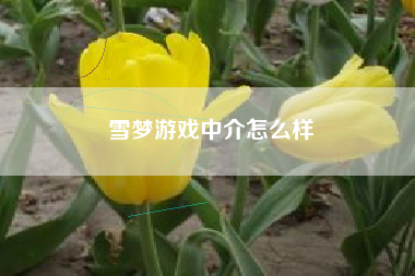 雪梦游戏中介怎么样