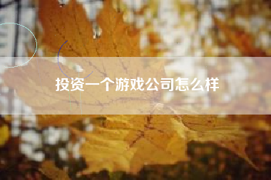 投资一个游戏公司怎么样