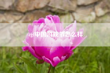 cgf中国游戏节怎么样