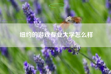 纽约的游戏专业大学怎么样