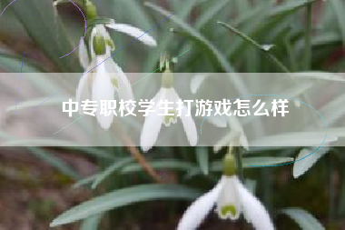 中专职校学生打游戏怎么样