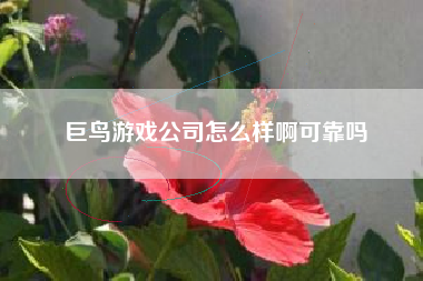 巨鸟游戏公司怎么样啊可靠吗