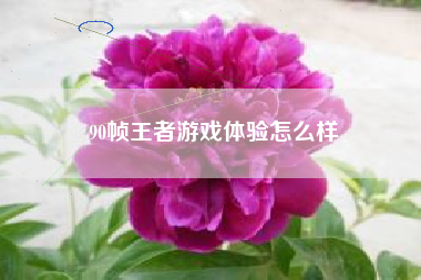 90帧王者游戏体验怎么样