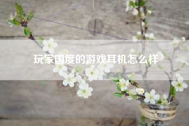 玩家国度的游戏耳机怎么样