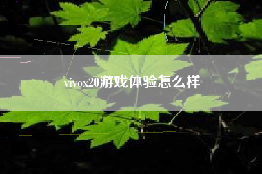 vivox20游戏体验怎么样