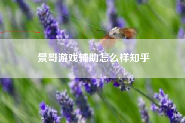 景哥游戏辅助怎么样知乎