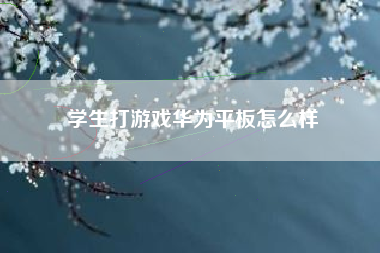 学生打游戏华为平板怎么样