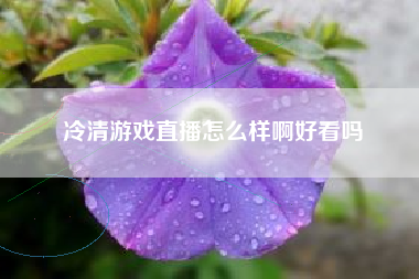 冷清游戏直播怎么样啊好看吗