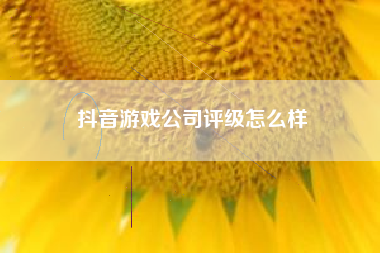 抖音游戏公司评级怎么样