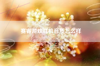 赛睿游戏耳机音质怎么样