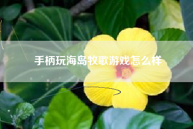 手柄玩海岛牧歌游戏怎么样