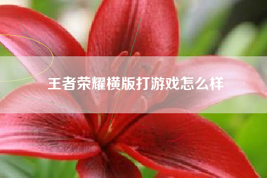 王者荣耀横版打游戏怎么样