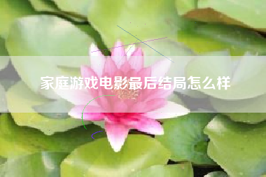 家庭游戏电影最后结局怎么样