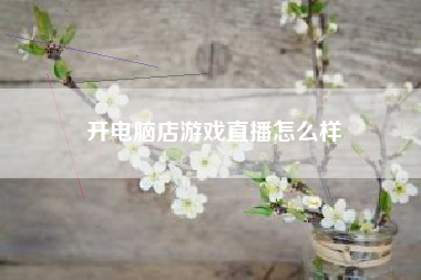 开电脑店游戏直播怎么样