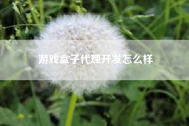 游戏盒子代理开发怎么样