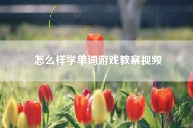 怎么样学单词游戏教案视频