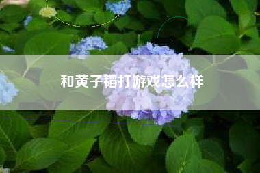 和黄子韬打游戏怎么样