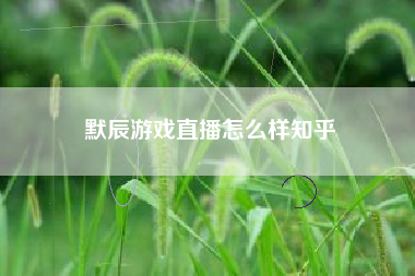 默辰游戏直播怎么样知乎